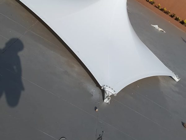Canopy Tensile (2)