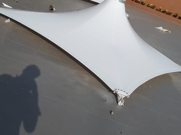 Canopy Tensile (5)
